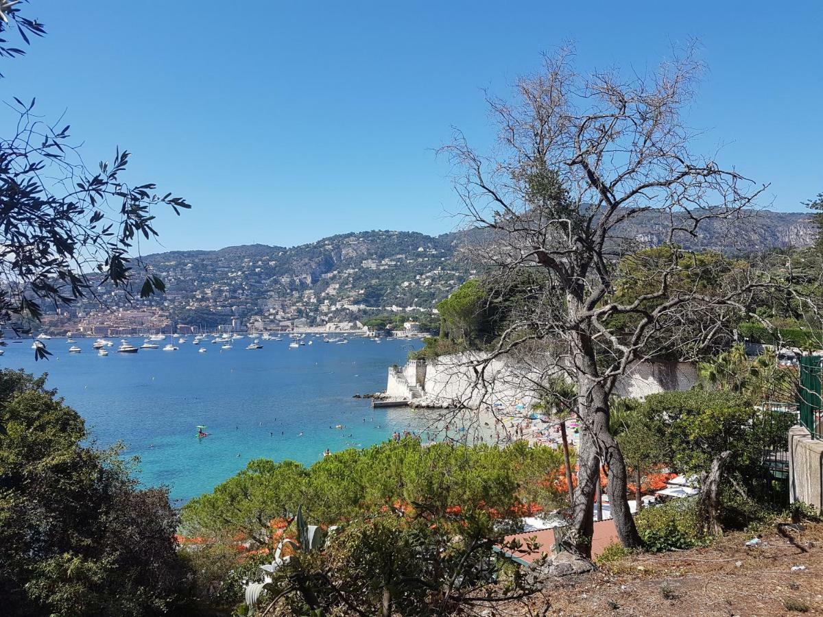 Les Palmiers A 700M De La Mer Nice Exterior photo